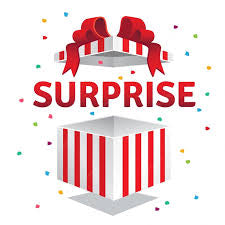 Surprise make